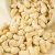 Import Premium-Grade and Dried Style Dried Style and Blanched Processing Type Cashew /Cashew Nuts/ Cashew Kernels from Belgium