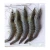 Import Premium High Quality Seafood Frozen Vannamei Shrimp From Thailand from Thailand