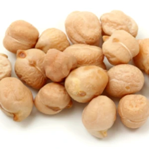 Premium Quality Canadian Crispy Air Direct Parmesan Chickpeas, dry chickpeas/Raw and roasted kabuli chickpeas
