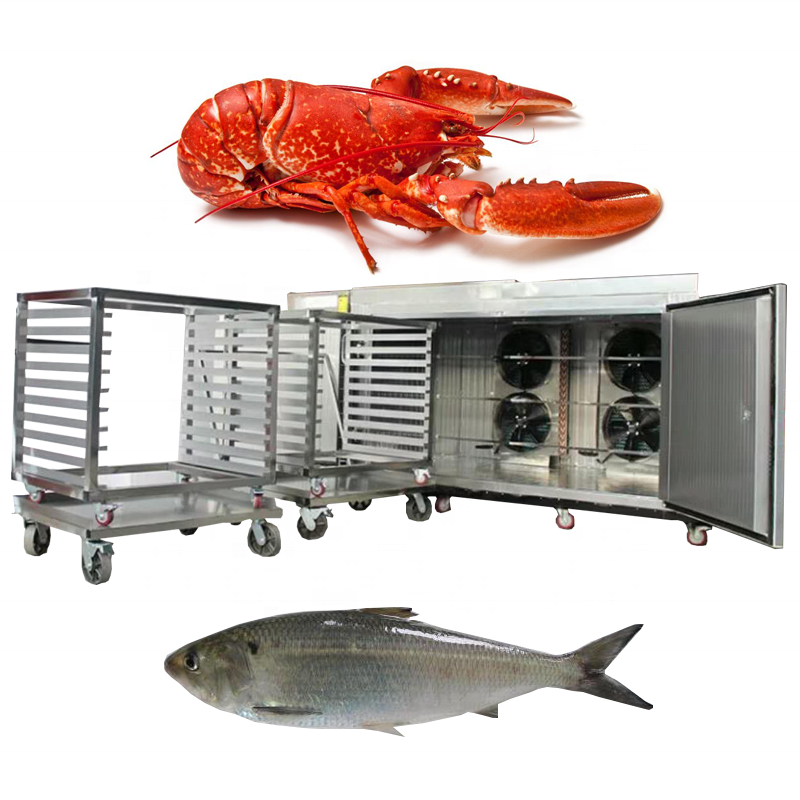 Quick shrimp freezing equipment refrigerators freezers machine