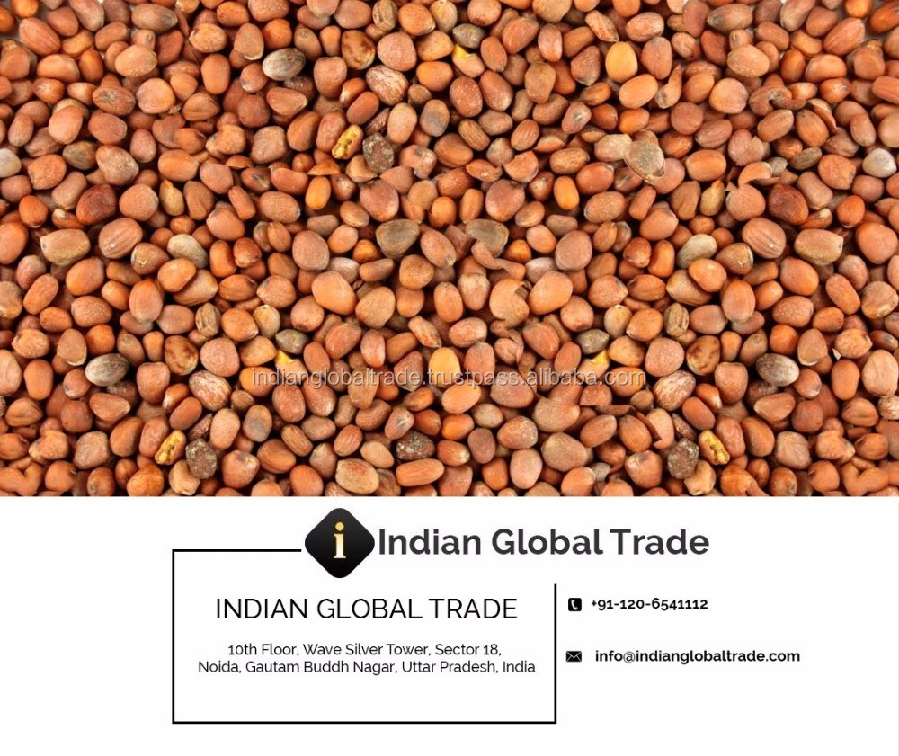 Radish Seed Essential Oil - Indian Global Trade