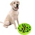 Import Rena Pet Multicolor Puzzle Anti-Slip Healthy Eating Interactive Small Medium Plastic Slow Feeder Dog Bowl from China