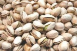 Roasted Salted Pistachio Nuts, Mammoth Pistachio nuts, Pistachios
