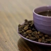 Roasted Single Origin Arabica Yellow Caturra Coffee Bean Indonesia