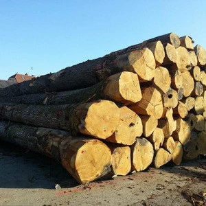 Round Eucalyptus pressed wood logs