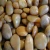 Import sale wash/polished/ waxed Colored oval Pebbles/Gardening pebbles for sale from China