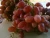 Import Seedless Red Crimson Grapes from Egypt from Egypt