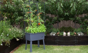 Self-Watering Elevated Planter with Trellis Frame and Greenhouse Cover - LARGE