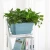 Import Self watering rectangle balcony plastic flower planter pot from China