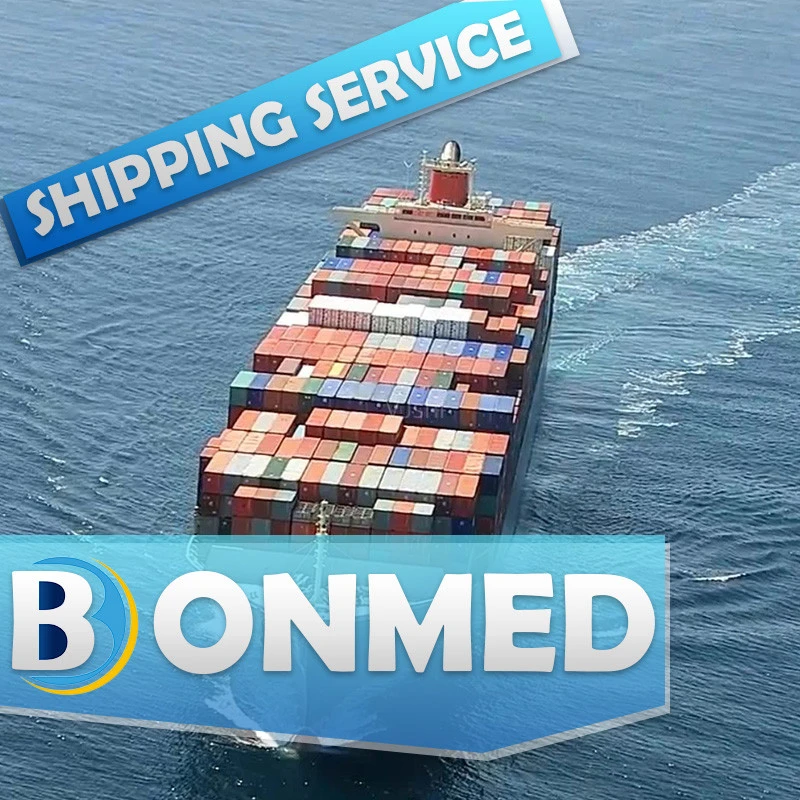 Shipping Agency Cargo Courier Service To Usa