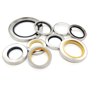 Single Lip Double Lip PTFE Sealing Lip Stainless Steel Rotary Shaft Screw Air Compressor Oil Seal
