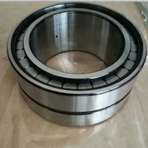 SL04 5007PP sealed double row full complement cylindrical roller bearings