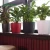 Import Smart indoor planter | pots flower planter | self watering planter from China
