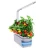 Import Smart mini gardenhorta  LED Growing Plant Self Watering Indoor Herb Garden from China