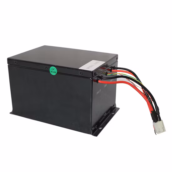48V LiFePO4 High Power 48V 30ah Lithium Battery Pack for E-Vehicle Rechargeable E-Bike Battery 48volts 30AMP BMS Can Power Supply