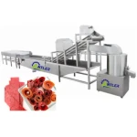 Strawberry Orange Apple Fruit Leather Hawthorn Sweetend Roll Processing Line