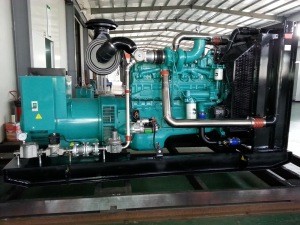 syngas power generator used for biomass and biogas