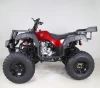 Tao Motor Bull 250cc ATV chain drive quad atv 4x4 atv 250cc 4x4