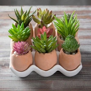 terracotta rectangular pot Set of 9 Brown Eggs Design Ceramic Succulent Planters/Mini Decorative Pots w/Tray