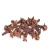 Import Tradition Natural Health Products Chinese Herbal Pieces Sod cloves Medicine Raw Material from China