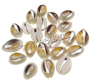 Trumpet Shell beads jewelry making bulk bead Oval natural no hole 18-24mm 722203