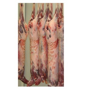 Venison or Deer Meat for Export from Australia Halal Certified Whole Carcass
