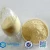 Import vital wheat gluten 25kg from China