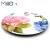 Import Vivid Exquisite Sticker Craft Plastic Plates from China