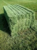 We Sell Top Quality Premium Alfalfa Hay, At Low Price...