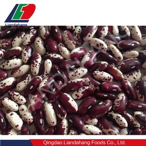 White Eye Beans, Types of Beans, Import White Beans