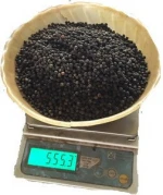 WHOLE ALL  PEPPER VIETNAM ORIGIN PRODUCTS SONG HY GIA LAI