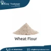 Whole Grain Wheat Flour 50kg Packaging in Bulk