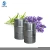 Import Wholesale Bulk 100% Pure Natural Aromatherapy Grade Essential Oil Lavender from China