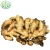 Import Wholesale Chinese Fresh Ginger with Good Price from China