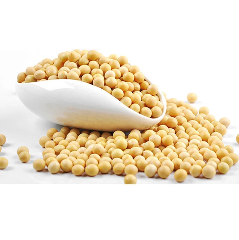 wholesale  High Quality Soybean/Soya Bean, Soybean Seeds