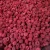 Import wholesale IQF raspberries fruit red berry from China