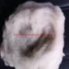 Wholesale Top Grade Precious Cashmere Material White Color Roving Dehaired pashmina Fiber