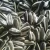 Import WholesaleNew Harvest 361 Sunflower Seeds with Shell from China