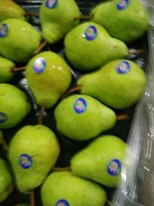 Year 2016 New Season Packham Pears