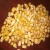 Import Yellow corn for Human Consumption or Animal Feed from India