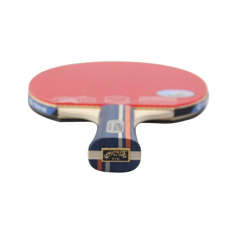 Yinhe 01B Table Tennis Racket Professional