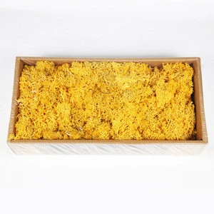 Yunnan A grade dried flowers wholesale preserved moss