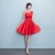 Import YYLCS05 Women Dress Bridesmaid Chiffon Short Skirt from China