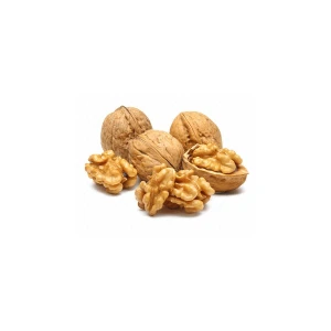 Natural Walnut Whole And Broken Pieces Rich Nutrition 98% Purity Bulk Export Ready Supply