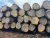 Import Teak Lumber and Logs for Sale from Cameroon