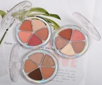 No Label Eye shadow Palette Wholesale Manufacturer China Free Sample