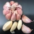 Import Garlic fresh garlic supplier wholesale price normal white organic raw fresh garlic from United Kingdom
