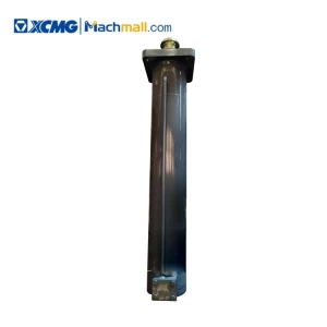 XCMG crane spare parts rear vertical cylinder *137901516