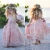 Import Cheap Pink Flower Girl Dresses Spaghetti Ruffles Hand made Flowers Lace Tutu  Vintage Little Baby Gowns for Communion Boho Wedding from China