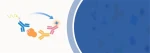TR-FRET ASSAY KIT FOR ANALYSIS OF BIOTHERAPEUTICS 26
